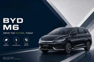 BYD M6